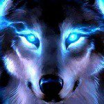 dalton  mccormick - @dalton.mccormick - Instagram