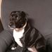 Dalton Mccormick - Facebook