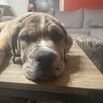 Dalton Mccray - Facebook