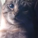 dalton mccray - @dmccray0412 - Instagram