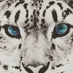 Dalton McCray - @dalmccray - Instagram