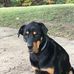 Dalton McDaniel - Facebook