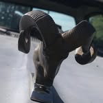 Dalton Mcgee - @that_smallblock_dodge - Instagram