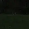 daltonmcleod7 - @daltonmcleod7 - TikTok