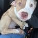 Dalton Merrill - Facebook
