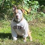 Dalton Merrill - @dalton.merrill46 - Instagram
