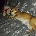Marianne Tomko - @dalton__3461_merrill - Instagram