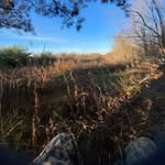 Dalton Messer - @dalton.messer.52 - Instagram