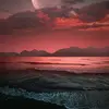 moon Dalton - @moondalton430 - TikTok