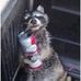 Dalton Morris - Facebook