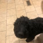 Dalton Morton - @daltonmorton76 - Instagram