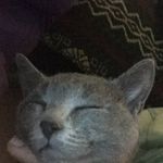 Dalton Nagy - @smokey_the_cat58 - Instagram