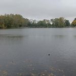 Dalton Nelson - @daltonnelson40 - Instagram