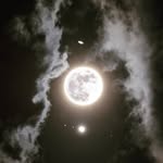 Dalton Nicholson - @brieflydecaffeinatedpanda - Instagram