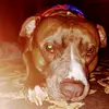 Daltonconnor0402 - @daltonconnor0401 - TikTok