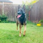 Oliver Dalton-Baker - @oliver_dalton_baker - Instagram