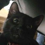 Dalton Orr - Facebook