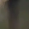 Dalton_paris7 - @dalton_paris7 - TikTok