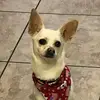 Dalton - @_dalton_paul_ - TikTok