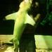 Dalton Pearce - Facebook