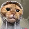 daltonpope238 - @stoneymac38 - TikTok
