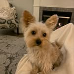 Murphy Dalton Pope - @murphydalton2018 - Instagram