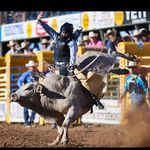 Dalton Potter - @maverick_potter - Instagram
