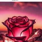 Dalton Potter - Facebook