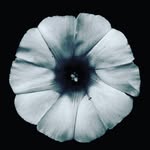 dami dada - @dodododododo23 - Instagram