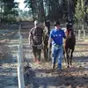 Damian Abel - @damian.abel - TikTok