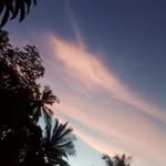 Damian Abraham - @damianabraham1 - Instagram