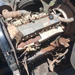 Damian Abraham - @damian.abraham.52 - Instagram