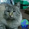 Damian Amedeo - @damian.amedeo - TikTok