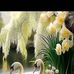 Damian Ba - Facebook