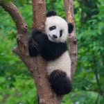 Damian Baba - @damianbaba2 - Instagram