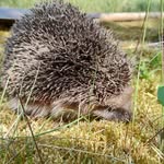 Damian Bąba - @damianbaba1 - Instagram