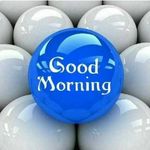 Damian Baba Ferns - @damianbabaferns - Instagram