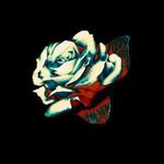 Damian Baca - @damian.baca - Instagram
