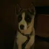 adalishabailey1 - @heytheredamianbailey - TikTok