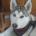 Damian Bailey - Facebook