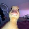 Damian.Boss.Com - @damian.boss.com - TikTok