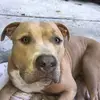 Damian_Becker - @damian_becker880 - TikTok