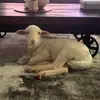 damianbender449 - @damianbender449 - TikTok