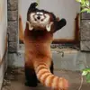 user7155268780299 - @damianbender65rehn - TikTok