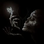 Damian Benjamin - @damianbenjamin1169 - Instagram