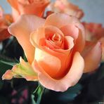 Damian Berg - Facebook