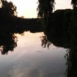 Damian - @damian_bergh_ - Instagram