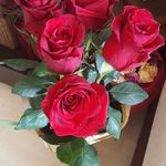 Damian Bianca - @damian.bianca.35 - Instagram