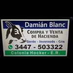 Damian Blanc - @damian.blanc.3 - Instagram