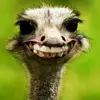 Damian Bourne - @damian.bourne - TikTok
